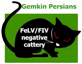 Gemkin Persians are a FIV/FeLV negative cattery