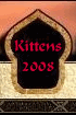 Kittens 2008