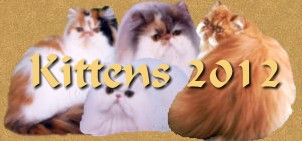 Kittens 2012